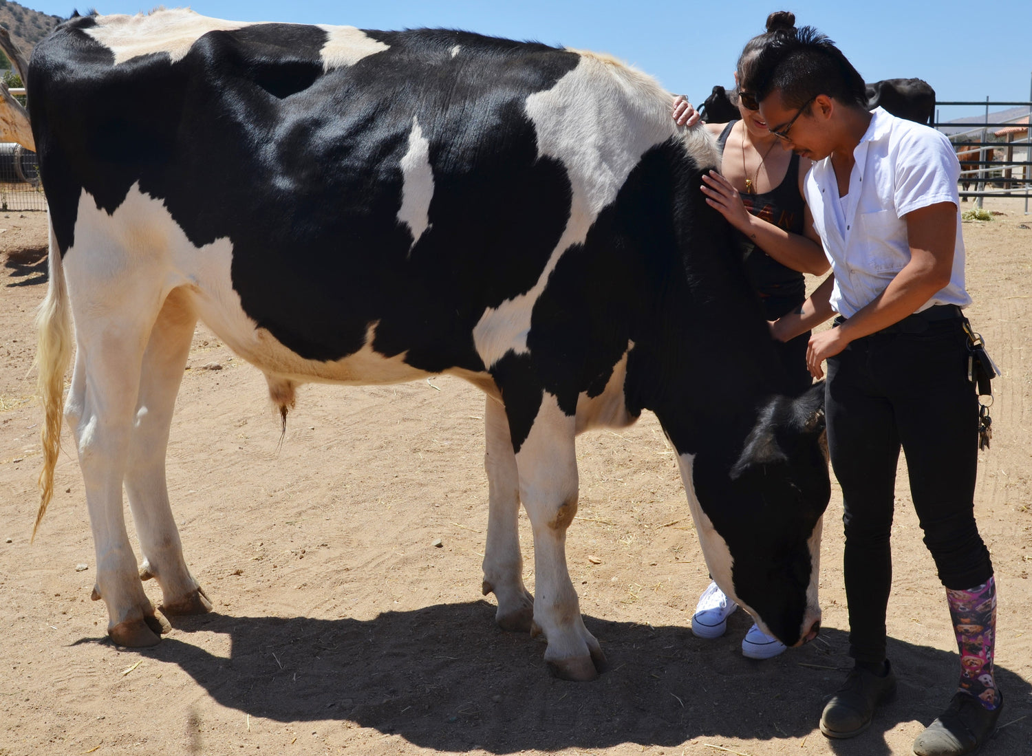 Our Visit to Farm Sanctuary